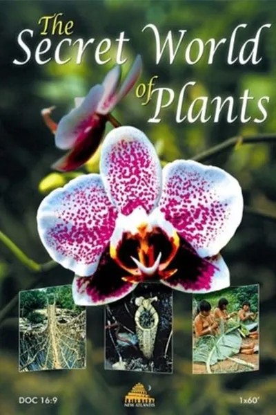 The Secret World of Plants