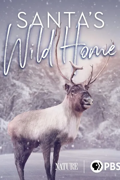 Santa's Wild Home