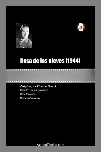 Rosa de las nieves