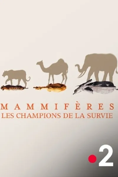 Mammifères, les champions de la survie