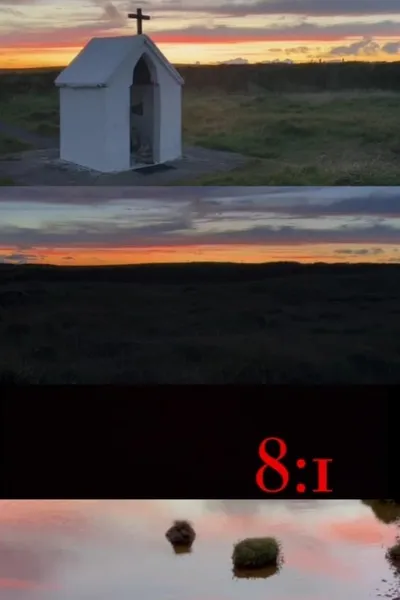 8:1