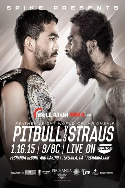 Bellator 132: Pitbull vs. Straus 2