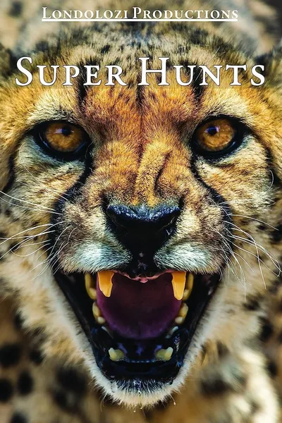 Super Hunts, Super Hunters