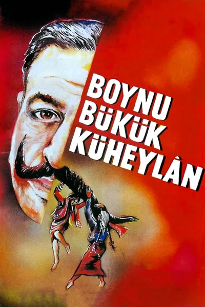 Boynu Bükük Küheylan