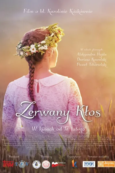 Zerwany kłos