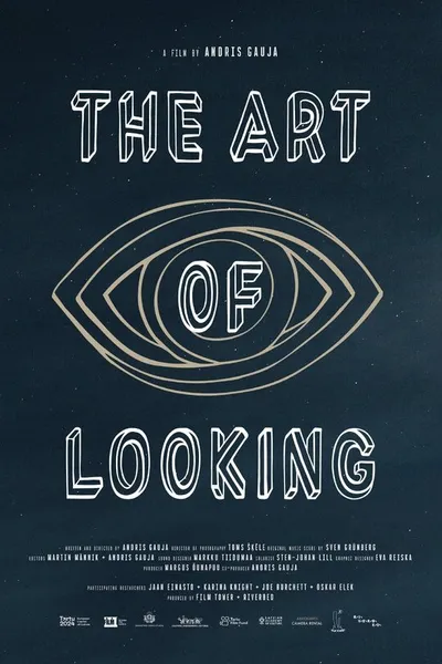 The Art of Looking