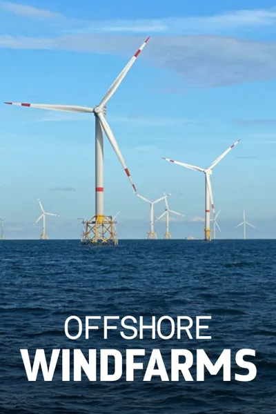 Windparks im Meer - Chance oder Risiko für die Natur?