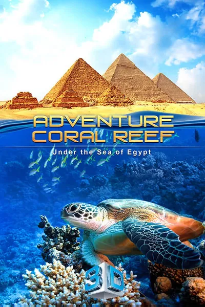 Adventure Coral Reef 3D - Under the Sea of Egypt