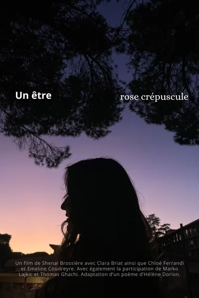 Un Être Rose Crépuscule