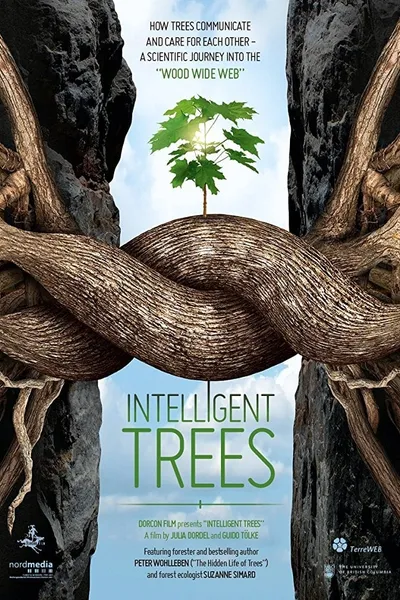 Intelligent Trees