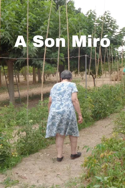 A Son Miró