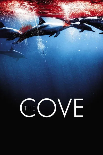 The Cove