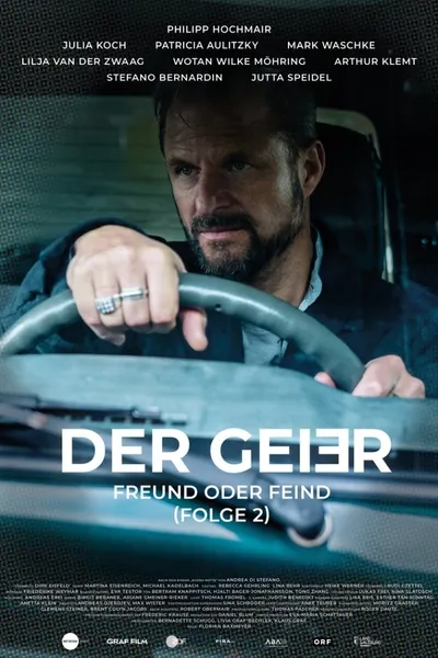 Der Geier – Freund oder Feind