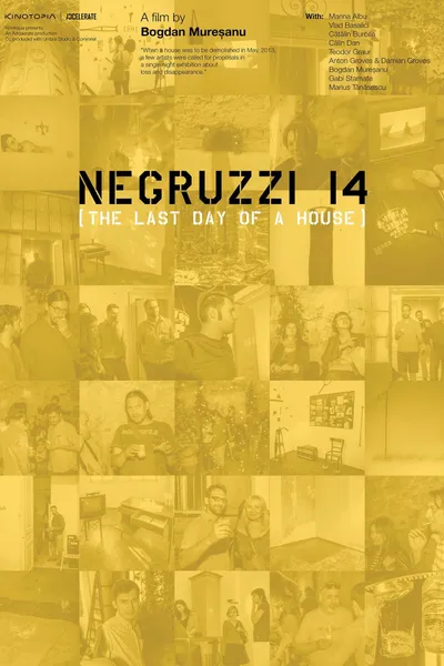 Negruzzi 14