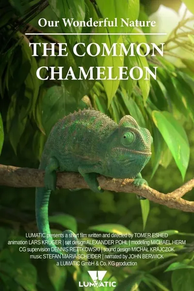 Our Wonderful Nature - The Common Chameleon