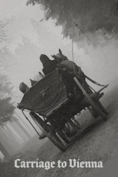 Carriage to Vienna