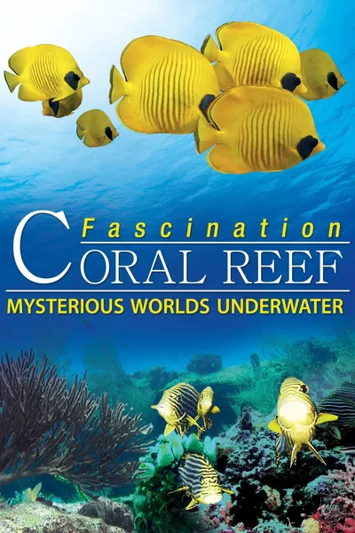 Fascination Coral Reef: Mysterious Worlds Underwater