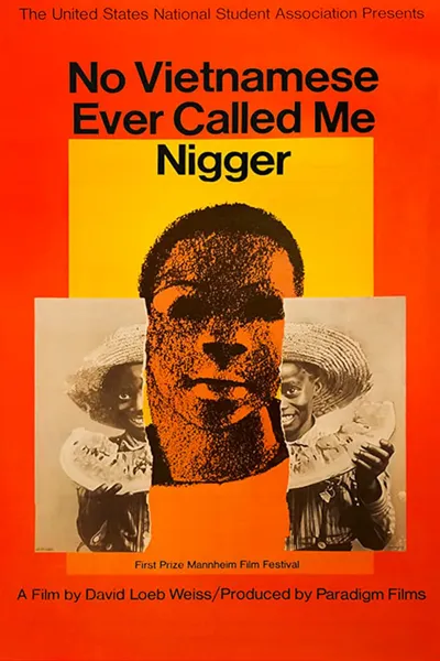 No Vietnamese Ever Called Me Nigger