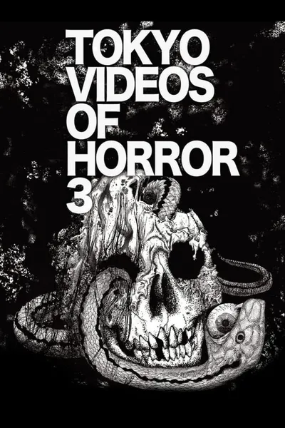 Tokyo Videos of Horror 3