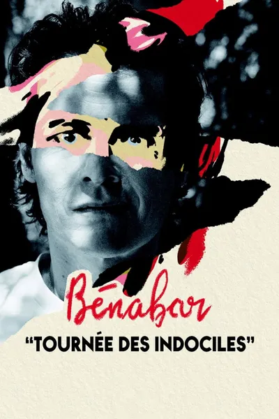 Bénabar - Tournée des indociles