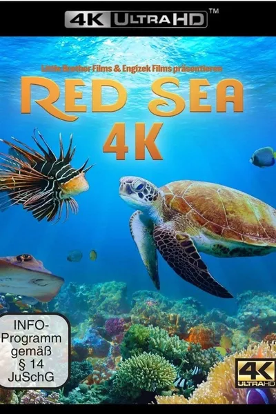 Red Sea