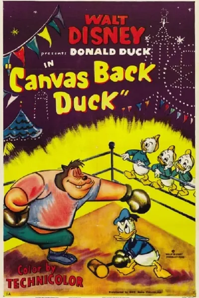 Canvas Back Duck