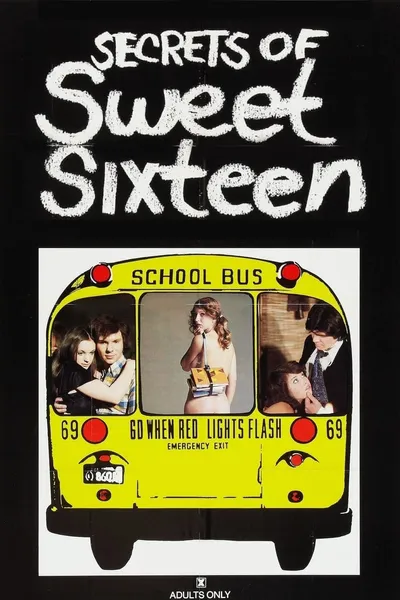 Secrets of Sweet Sixteen