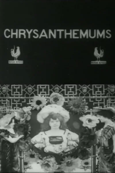 Chrysanthemums