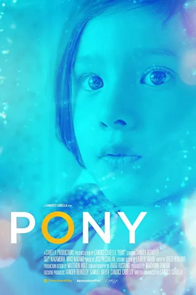 Pony