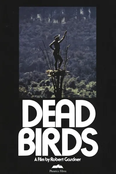 Dead Birds