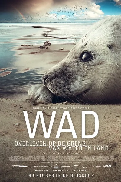 Wad: surviving on the border of water and land