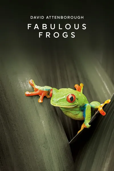 Fabulous Frogs