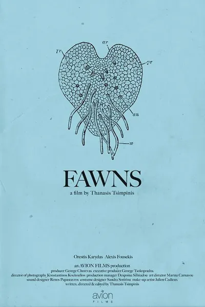 Fawns