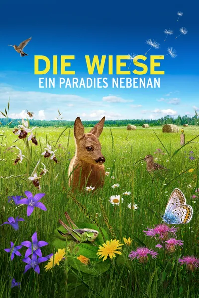 Die Wiese: Ein Paradies nebenan