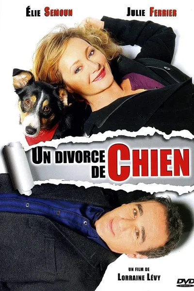 Un divorce de chien