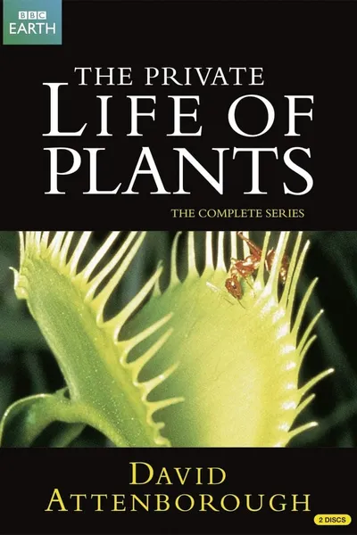 The Private Life of Plants