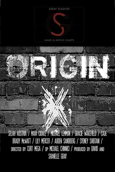 Origin X