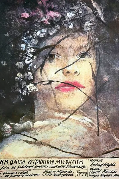 Chronicle of Amorous Accidents