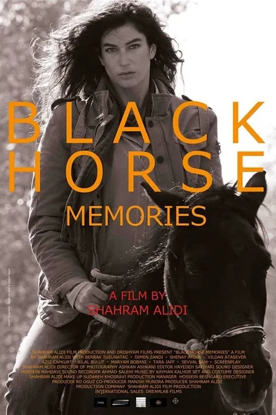 Black Horse Memories