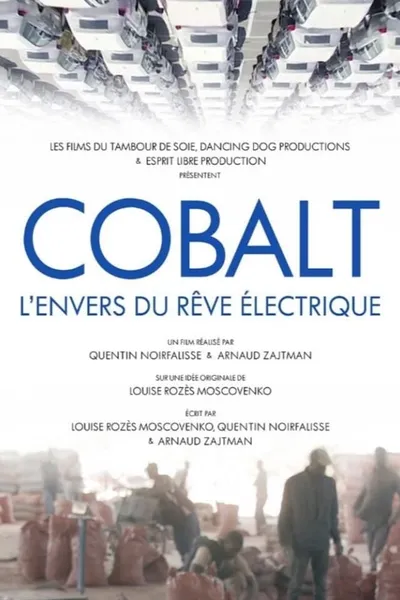 Cobalt Rush: The Future of Going Green