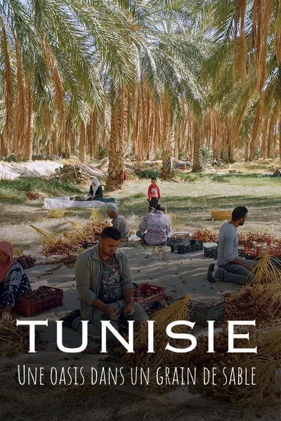 Tunisie : Une oasis dans un grain de sable