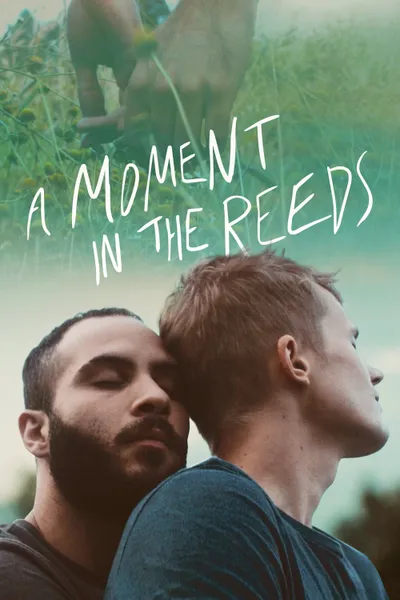 A Moment in the Reeds