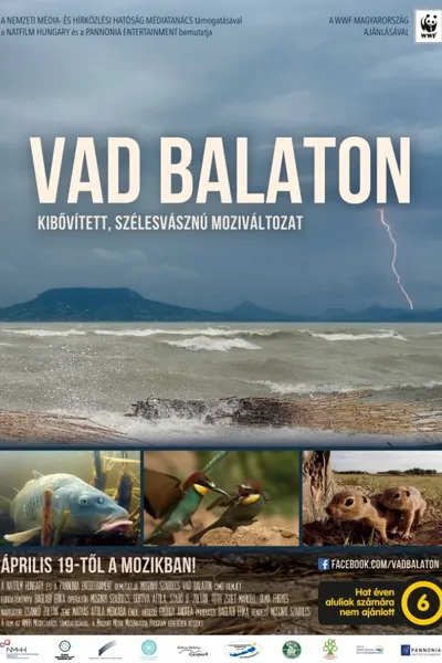 Balaton