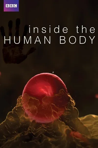 Inside the Human Body