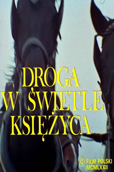 Droga w świetle księżyca